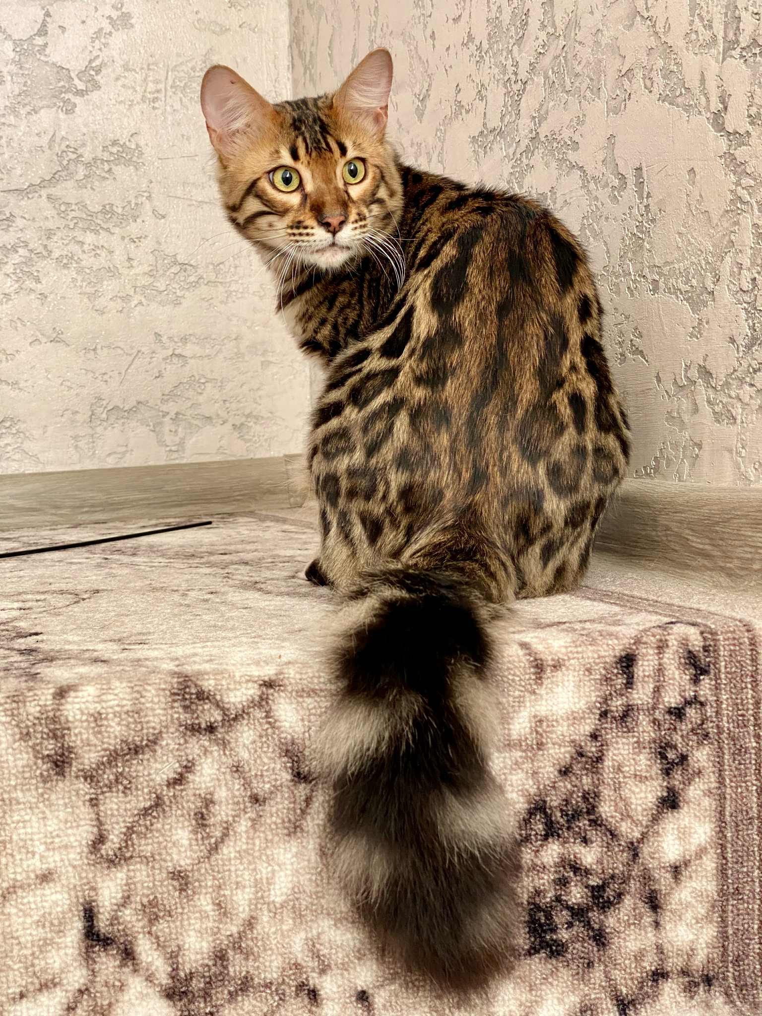 Maximillion
