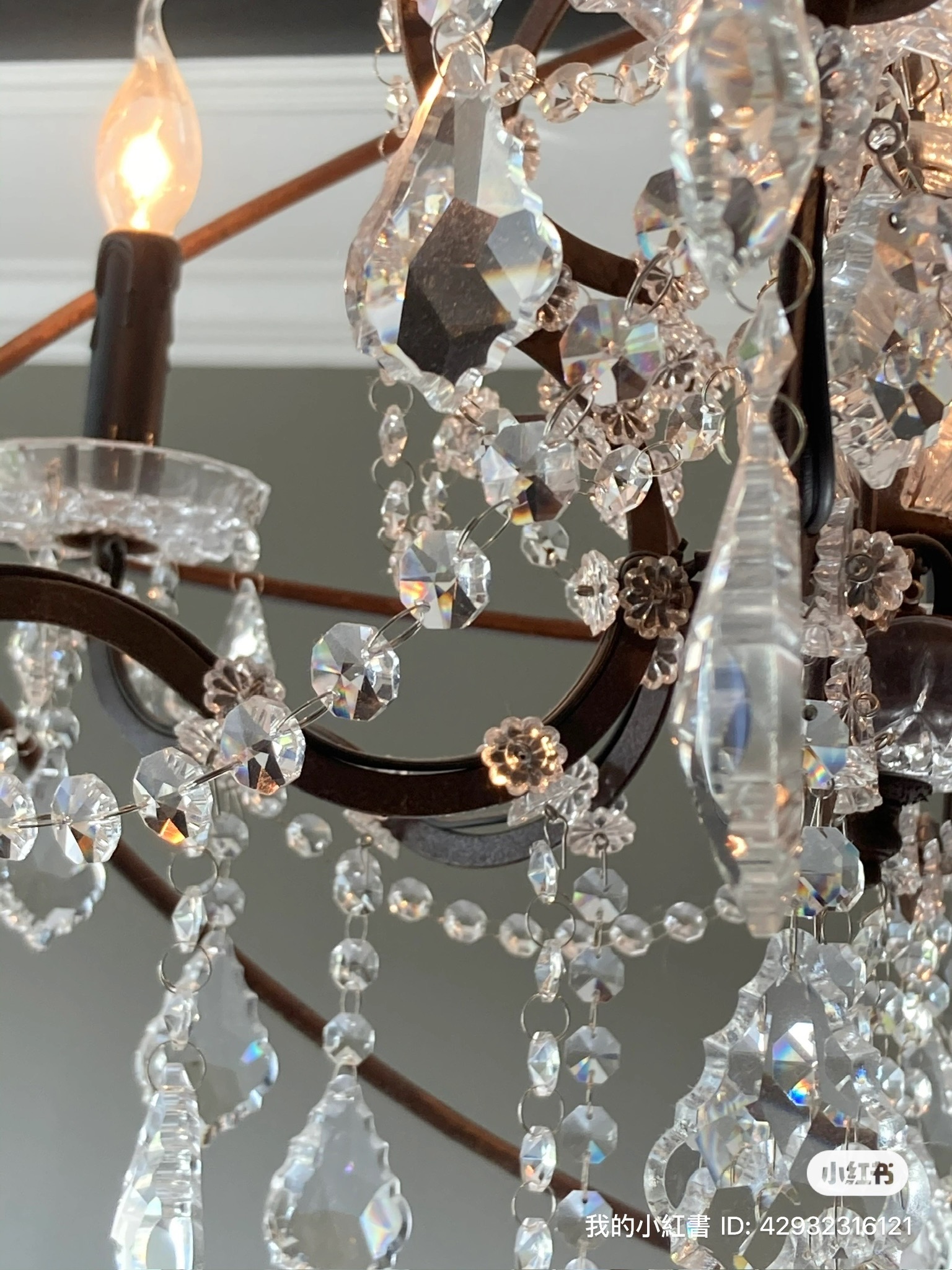 Crystal chandelier in cattery