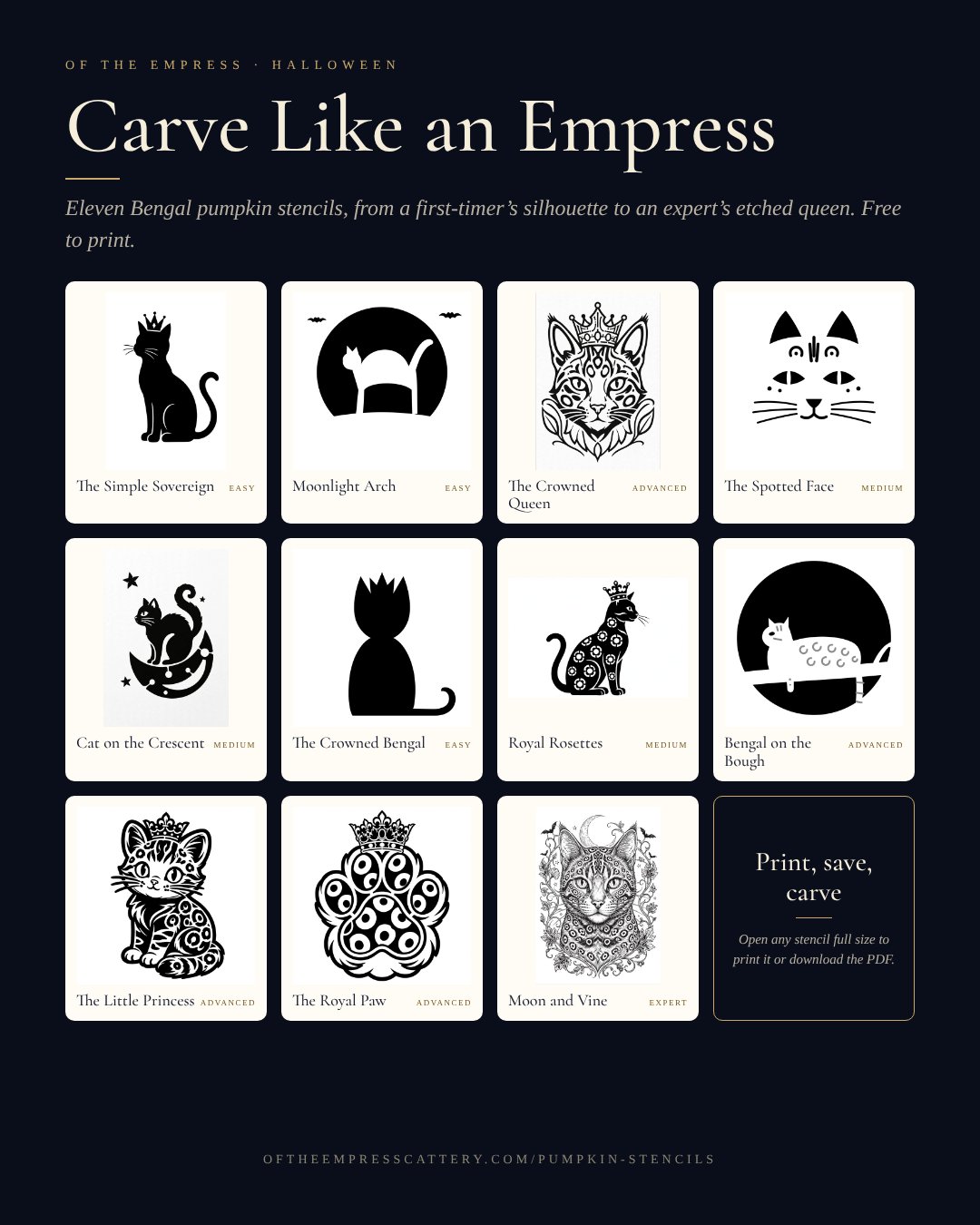 Eleven Bengal pumpkin carving stencils